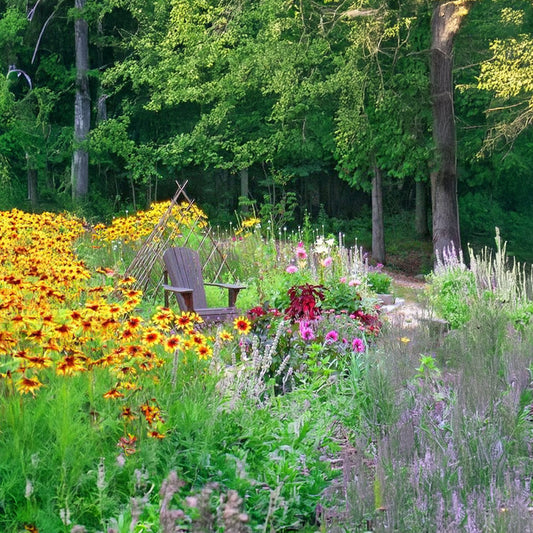 Conserving Water Through Proper Planting