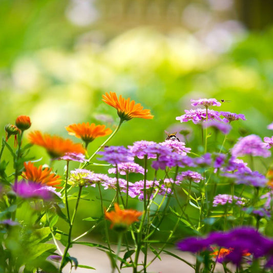 Green Gardening