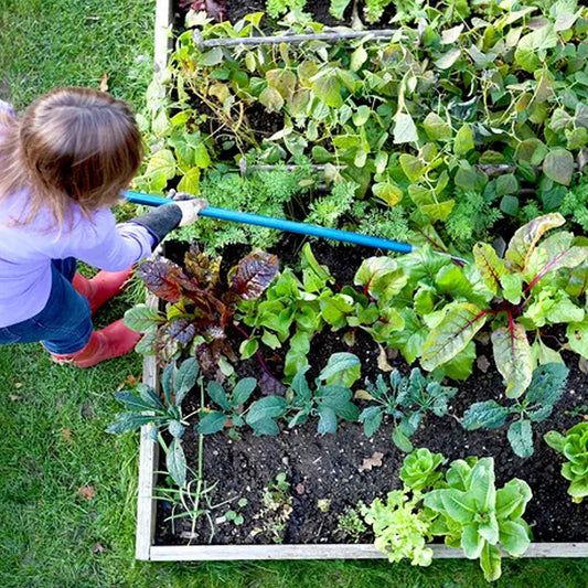 Late Spring Gardener’s Calendar