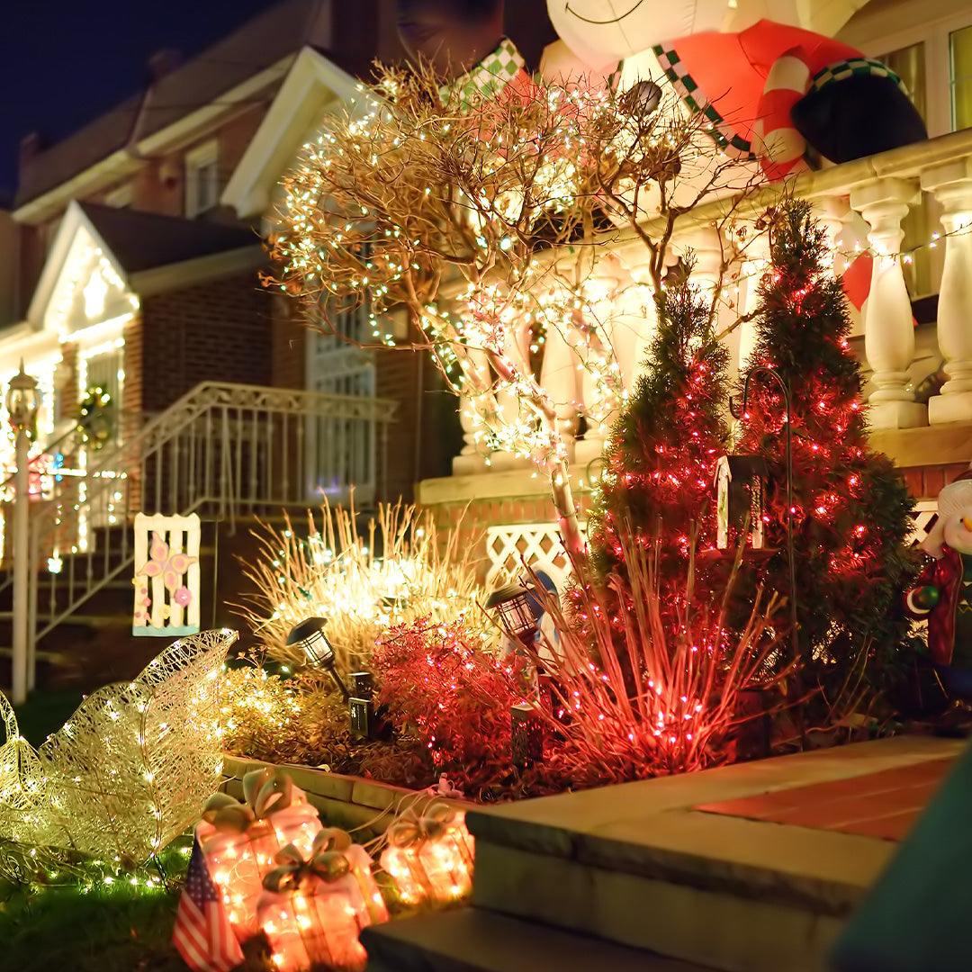 Outdoor Holiday Decorations – Eds Plant World