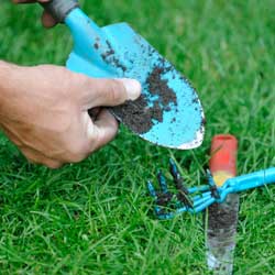 Getting Tools Ready for Spring