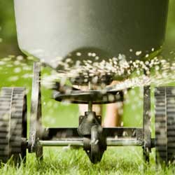 Pre-Emergent Control of Crabgrass