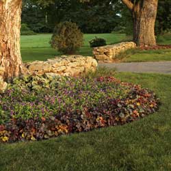 Design a Raised Landscape That Works