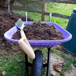 More Than Just Mulch