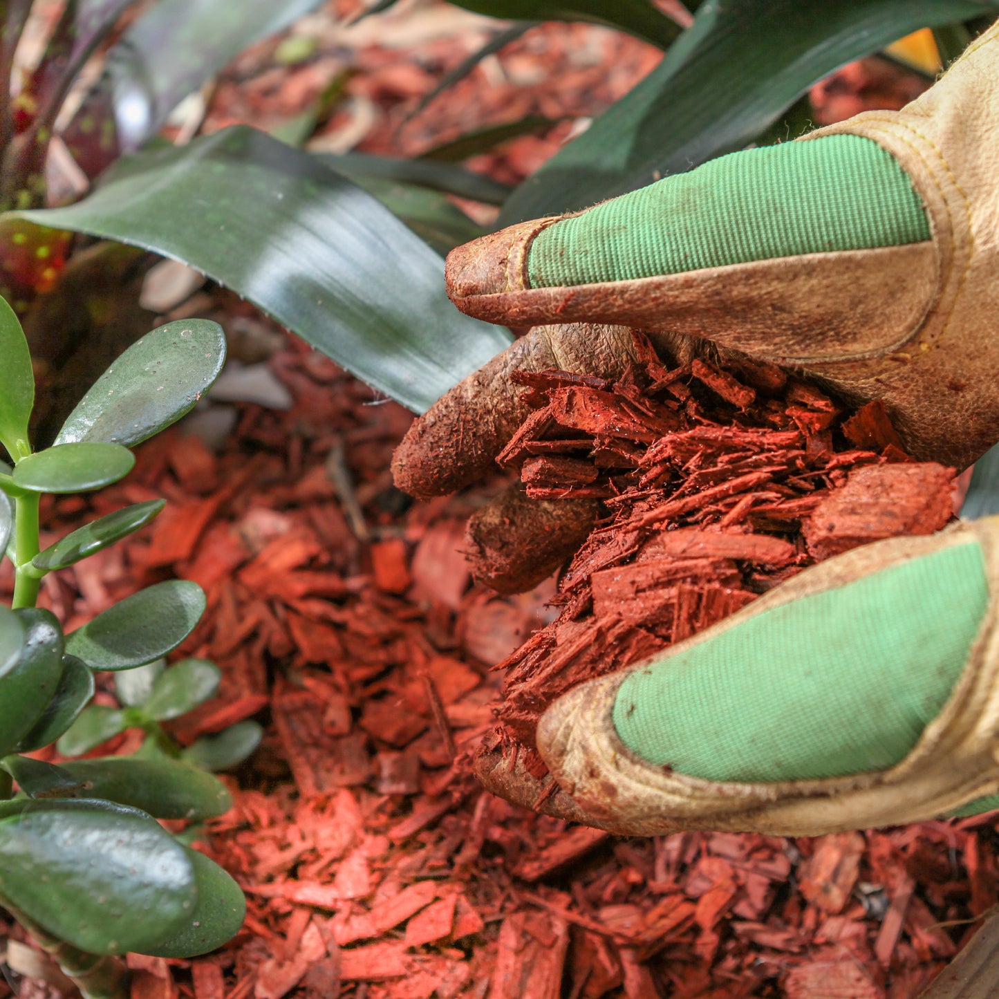 Dyed Red Shredded Hardwood (Bulk)