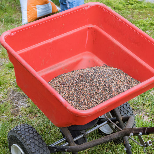 Fall Lawn Care