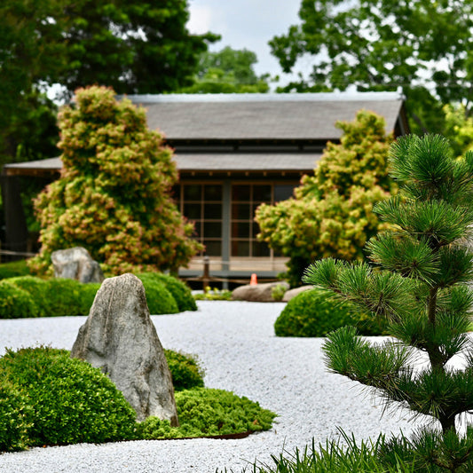 Mulch vs Stone: The Best Ground Cover for Your Landscape Beds