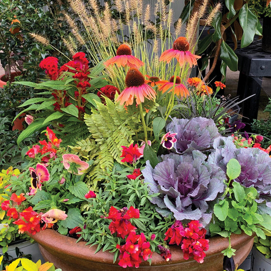 Creating Beautiful Fall Porch Containers