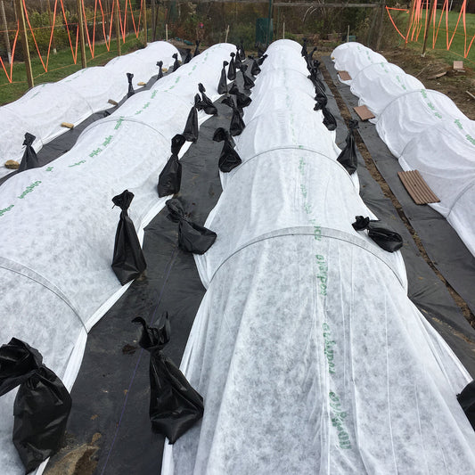 Frost Cloth: Essential Spring Protection