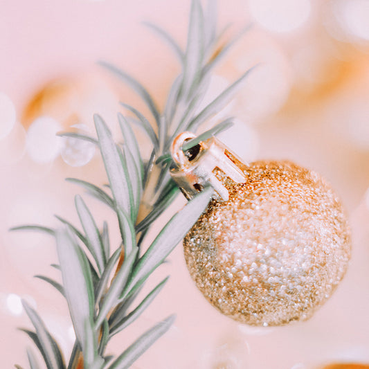 Trimming a Rosemary Christmas Tree