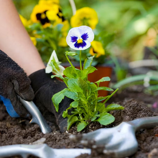 The Enabled Gardener