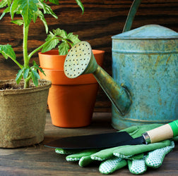 Tooling Around in the Garden: Selecting and Caring for Garden Tools
