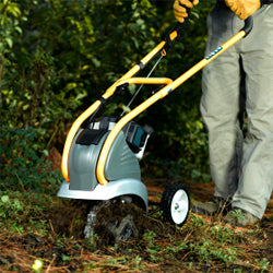 Weekly Tip: Lawn Weeds