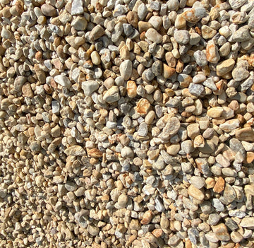 Products – Eds Plant World